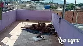 Morena dwarf takes big black cock hard from behind outdoors