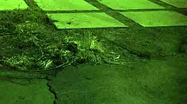 Teen teen 18+ endures fast rough bondage sex with sock smelling and orgasm