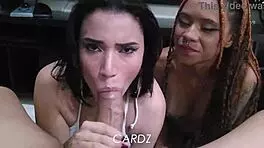 Two naughty chicks sucking cock hard