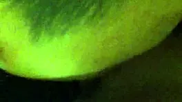 Want to See Her Pussy Licked?