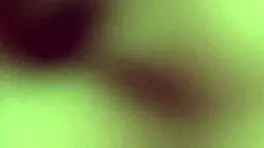 Britney Madison gets fucked hard on the couch in POV