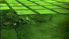 Girl fucked rough and fast in bondage domination hardcore