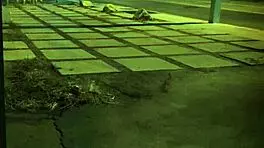 Exploring BDSM Bondage and Domination in a First-Time Gangbang Scenario