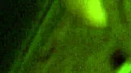 fucking my neighbor's wife in secret