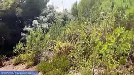 Intense Athletic Couple Engages In Bold Street Fucking Until Caught In Lingerie And Muscular Display.