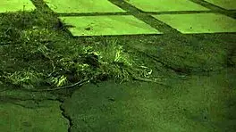 teen outdoor dp first time unless youre from the sixties and dig