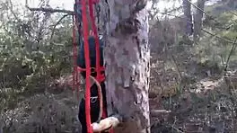 laura bound in hood and heels