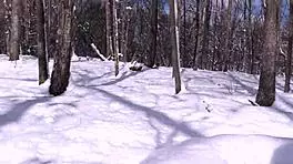 Nina sucks dick in snow!