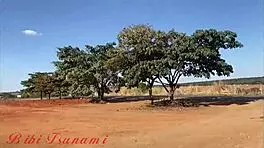 Bibi tsunami boldly strips topless on the roadside in varjão de minas, teasing with her big ass and crossdressing flair.