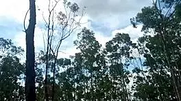 Cavalganu no pal do visinho e minha pequena se preparando pra ser a procima