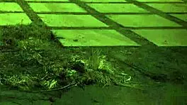 Teen In Sexy Butt Plug Bondage Gets Dominated Hard