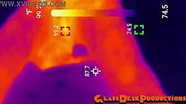 sandiego hunters get anal-ized in tunnel