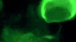 Huge satisfaction with Eyla Moore as Ahri