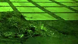 Big tit slave gets fucked hard in bdsm