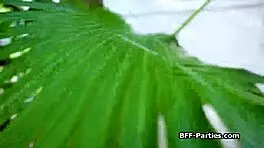 Coeds crave cock in wild foursome!