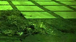 bondage girl getting fucked by machine