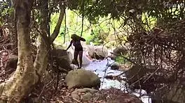 Nina Rivera Sucks Monster Cock by Riverside with Don and Nina Superhotfilms