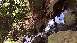 Nina Rivera Sucks Monster Cock by Riverside with Don and Nina Superhotfilms