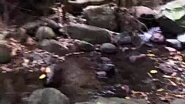 Does emo teen masturbate for step sister?