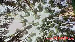 Horny Petite 18+ Nymph Receives Cum In Mouth In Forest POV