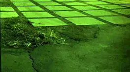 Is that tight teen pussy ready for my monster cock domination?