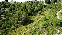 Drone Catches Young 18+ Couple FUCKING Outdoors!