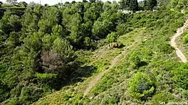 Drone Catches Young 18+ Couple FUCKING Outdoors!