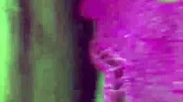 Tight young milf pussy filled with cum on camera