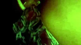 Icey Candi Twerks On Big Black Cock In Doggystyle