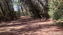 Ibiza Trip Turns Wild with Teen Blonde in Ripped Clothes on Spanish Beach