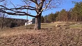 i can’t get enough of angel love and don whoe keeping things wild with that huge black cock