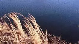 i can’t get enough of angel love and don whoe keeping things wild with that huge black cock