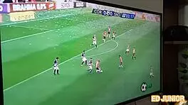 Ed junior fucks novinha without condom