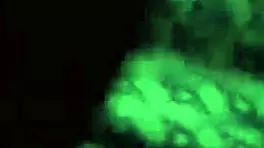 Watch This Hot 18Yo Teen Girlfriend Get Creampied In Intense Action