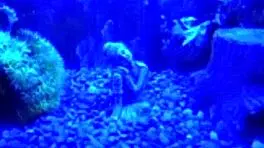 my favorite pickup line is i'm still a virgin, part 2 of virginity not undertaker