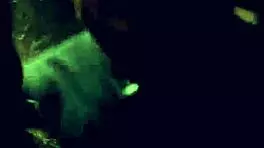 fed up with waiting for that extreme rough double anal