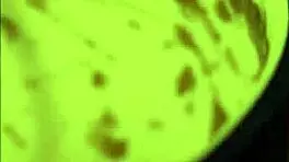 amateur teen takes huge anal in hardcore bdsm session