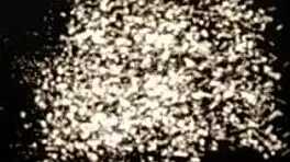 Mr. Anderson and Kiara Gold Share a Deep Conversation