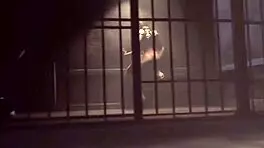 Wow! 3D cartoon blonde teen 18+ FUCKED by girlfriend!