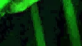 Teen Babe Bound in Creampie Domination