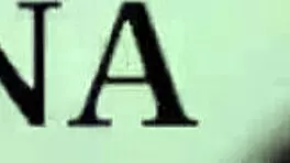 trio with new colombian friend in buenos aires