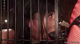 Petite Asian Slave Banged with Anal Strap-On