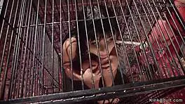 Petite Asian Slave Banged with Anal Strap-On