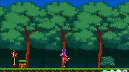 Nyan-Fu Girl Download In Http Playsex Games