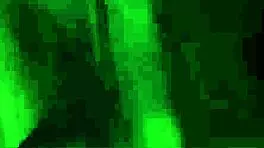 smallsis4k - blowing agreement with stepsis paris white. she deepthroats and handjobs nude.