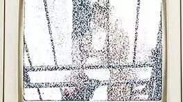 Doctor Tampa blasts Jasmine Rose's thigh