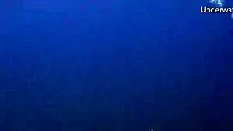 Sea Adventures On Tenerife Underwater