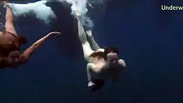 Sea Adventures On Tenerife Underwater