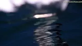 Sea Adventures On Tenerife Underwater