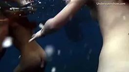 Sea Adventures On Tenerife Underwater